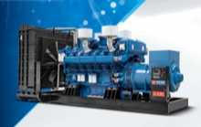 China Reliable Diesel Generator Sets for Power Plant 6300V